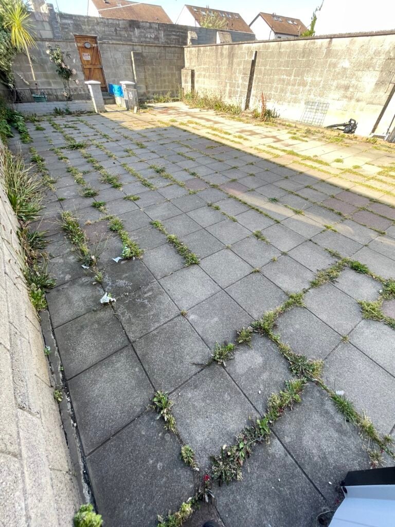 Paved patio with weeds before cleaning