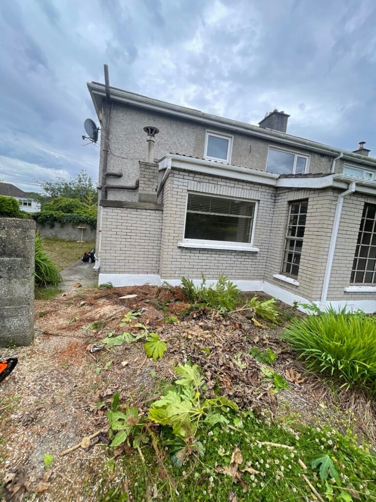 After: area beside the house following conifer removal by XW in Dublin