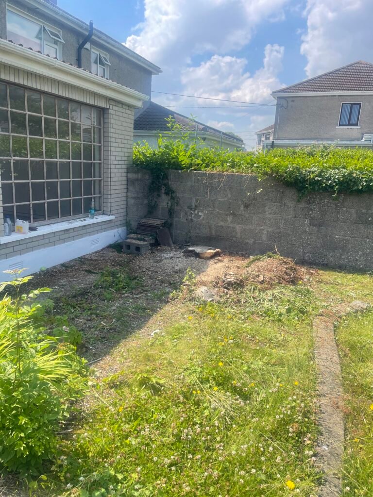 After: rear garden after conifer removal by XW in Dublin